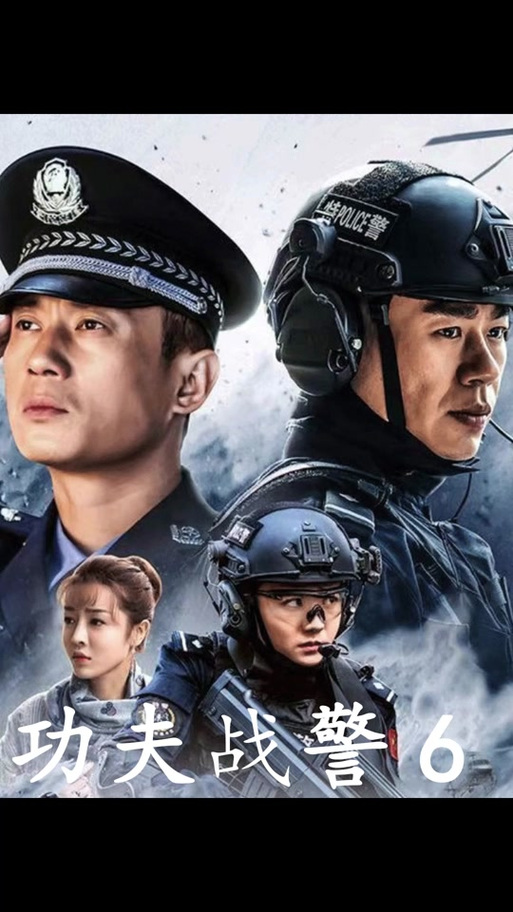 《功夫战警》电视剧