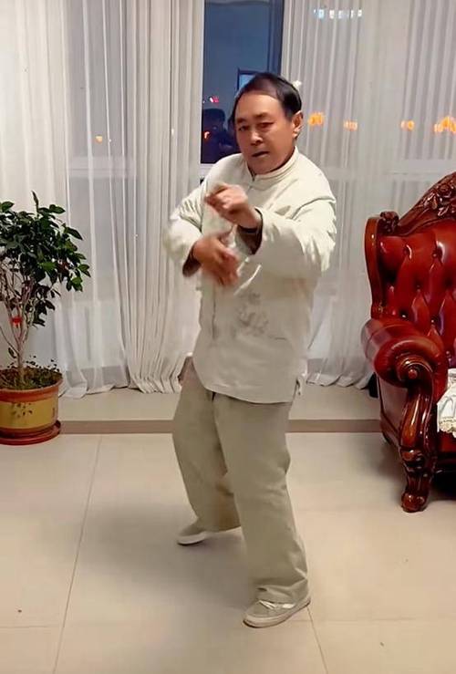 太极马保国简介