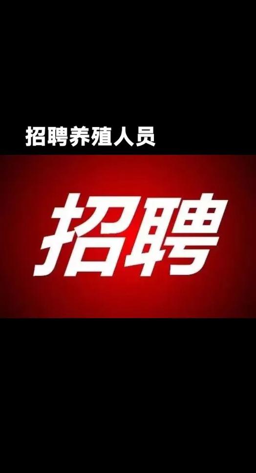养鸡场招聘5名饲养员