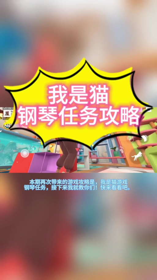 猫任务