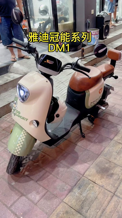 雅迪dm1三个版本的区别截图
