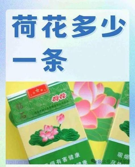 荷花真伪查询官网