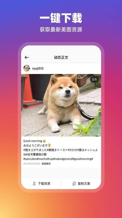 instagram下载正版官方安卓图标