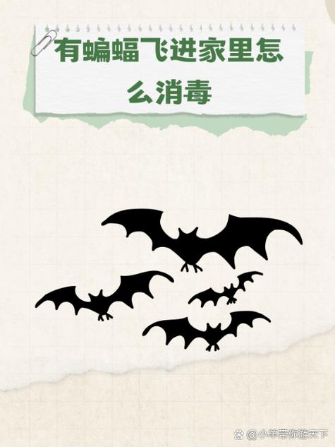 蝙蝠飞家里了怎么除病毒