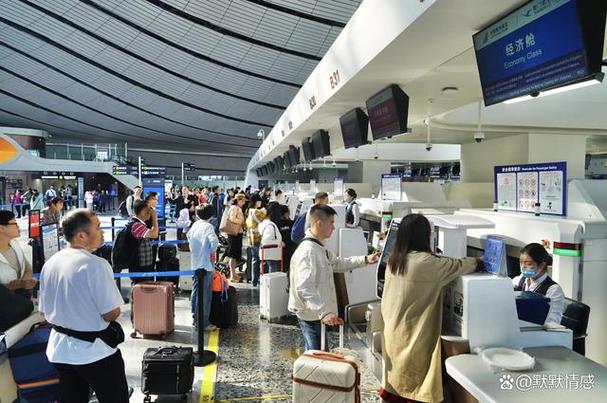 刺激战场航班播报台词截图