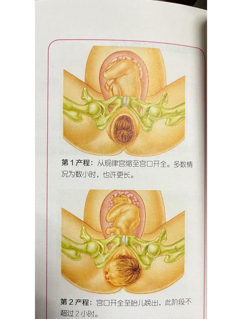 床上怎么做才能生孩子