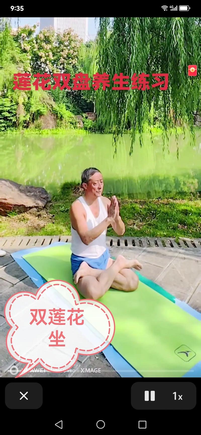 黑2白2NDS文件