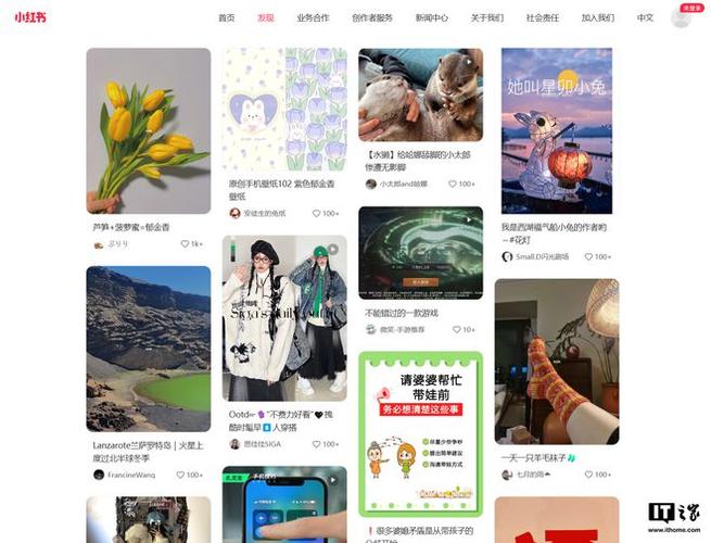 浏览器打不开小红书