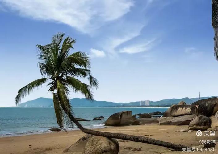 海角31.0绿意盎然