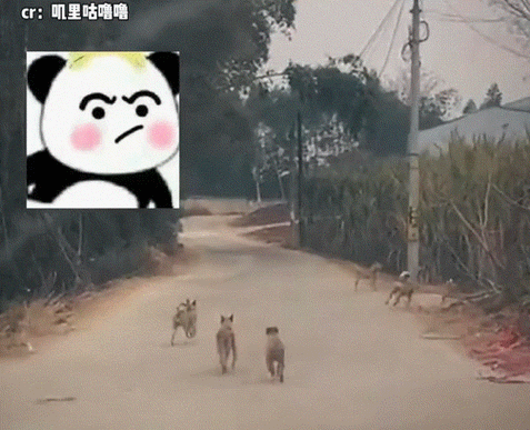 微信群怎样看到谁退群了截图