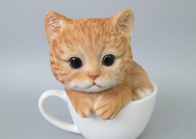 茶杯猫梯子