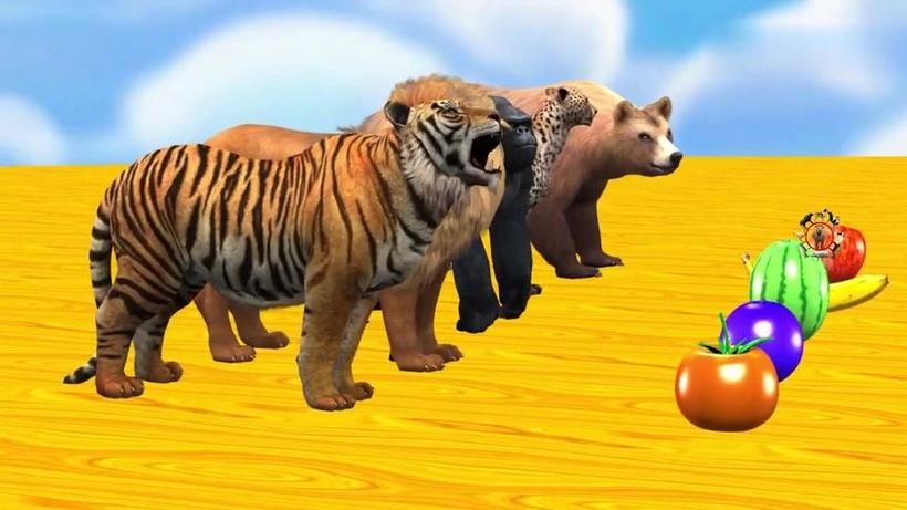 老虎猩猩狮子豹子熊动画视频