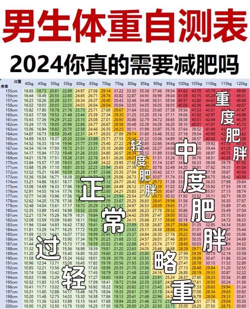 男性bmi指数标准表