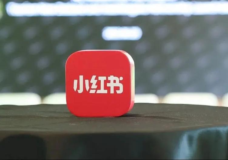 小红书分享成功在哪里看