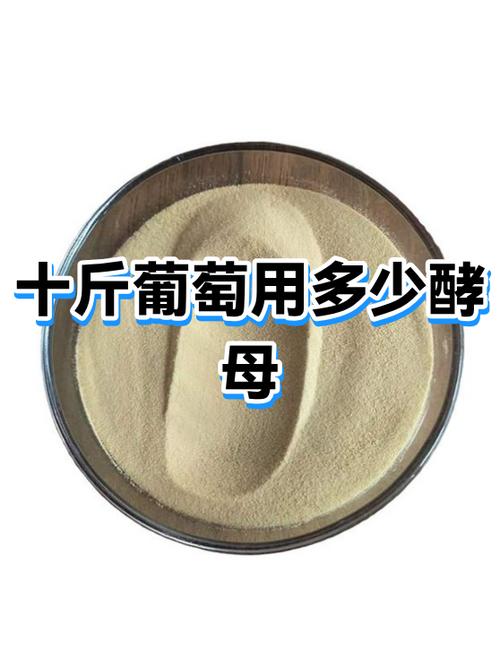 葡萄汁多少钱一瓶