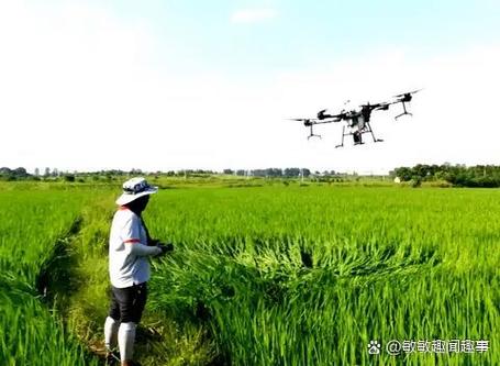 怎么把扰民的无人机打下来截图