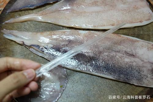 墨鱼壳