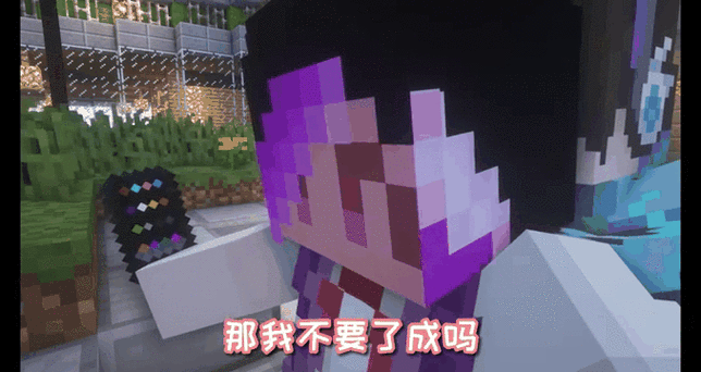 中国版我的世界沙雕皮肤
