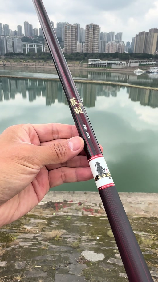 苍龙鲤买什么版本好
