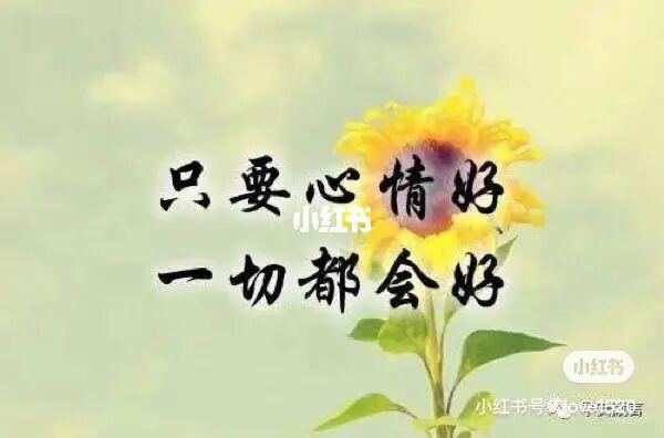 晴天的心情说说
