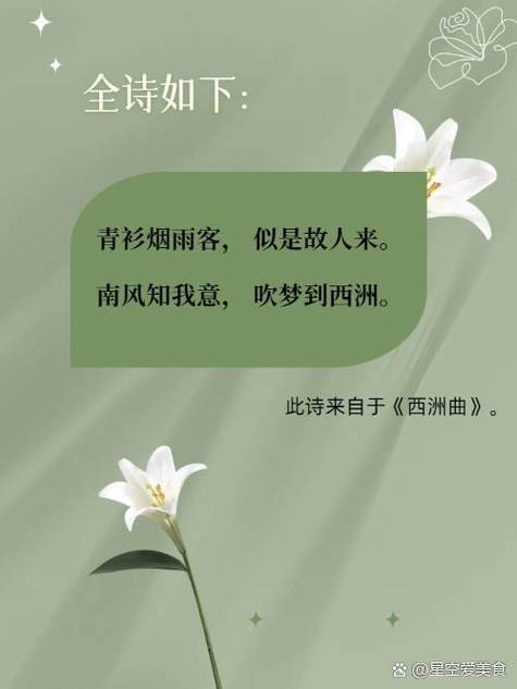 烟雨蒙蒙意境的诗句