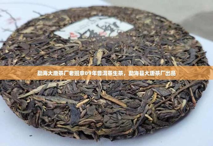 勐海大唐茶厂什么档次