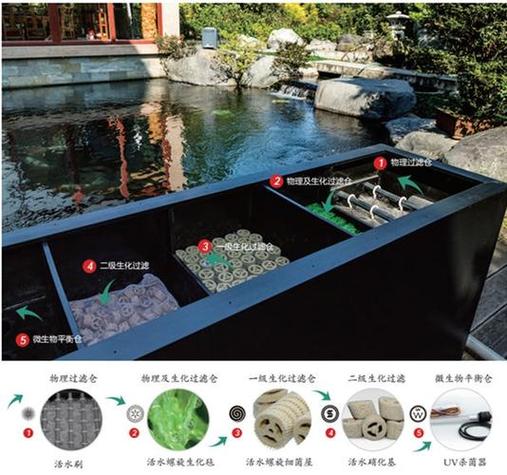 庭院鱼池水净化系统