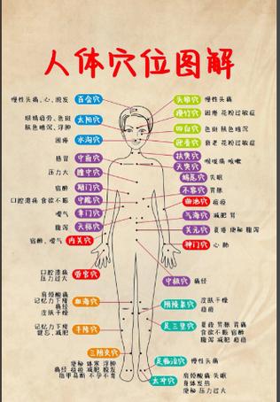 全身按摩穴位图