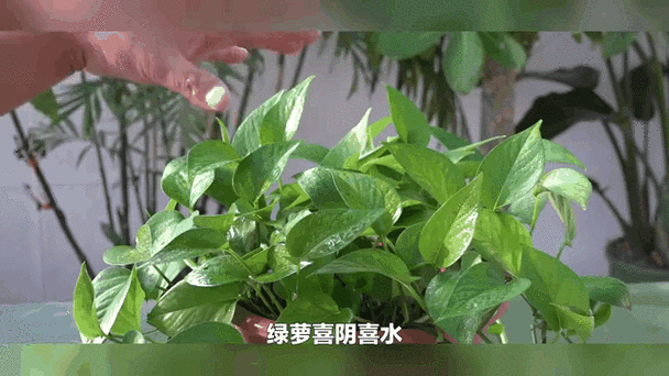 免费挂机脚本吃丹修仙官方正版游戏截图