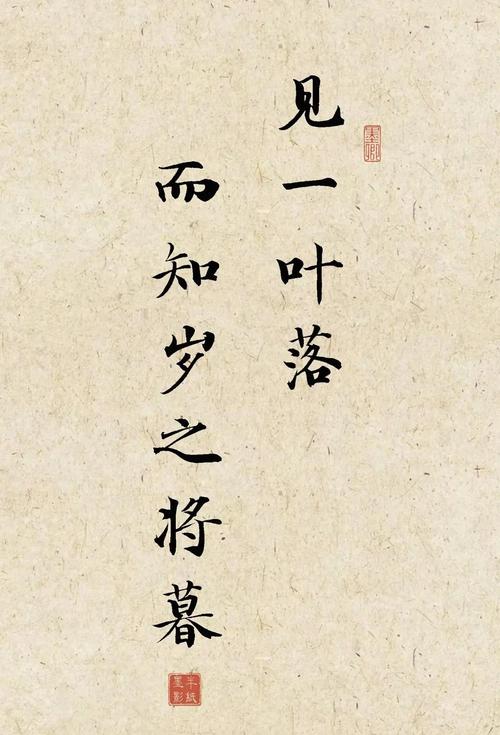 岁岁合欢叶闻知