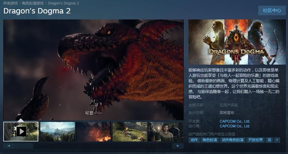 龙之信条steam上没有