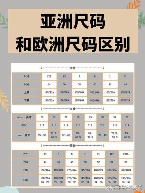 欧洲码与亚洲码的体型差异