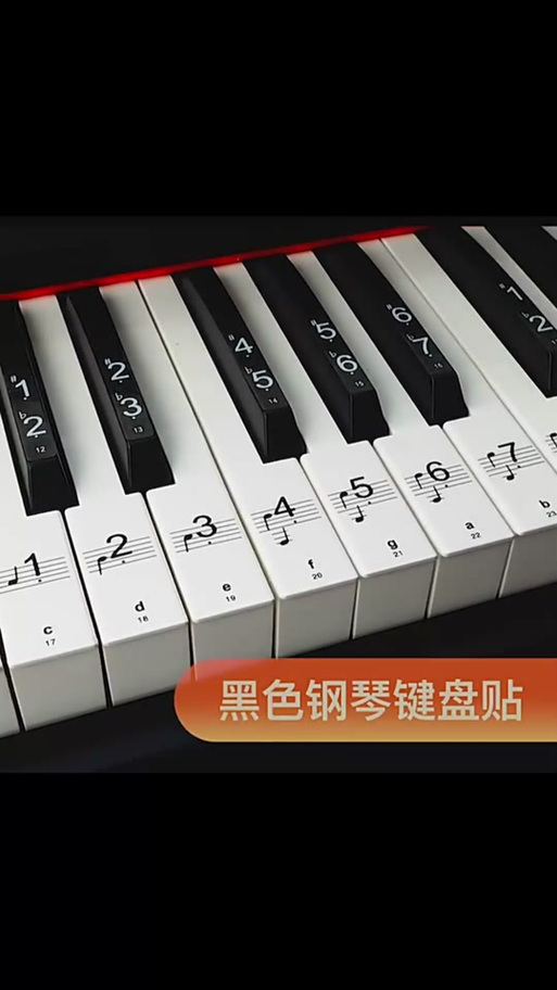 电子琴键盘61键贴纸