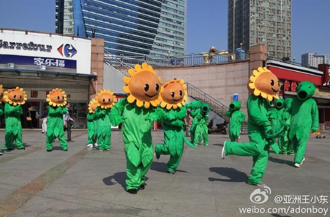 植物大战僵尸直人版