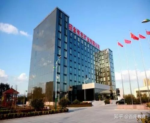 招金置业发展有限公司