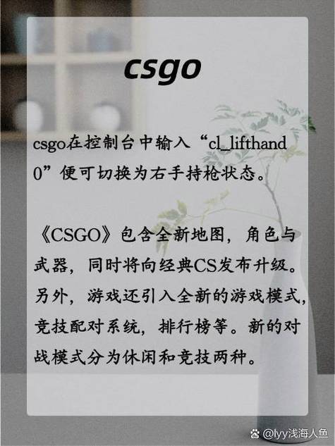 csgo设置右手拿枪的方法游戏截图