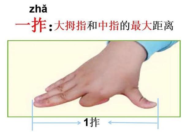 一拃指的是什么截图