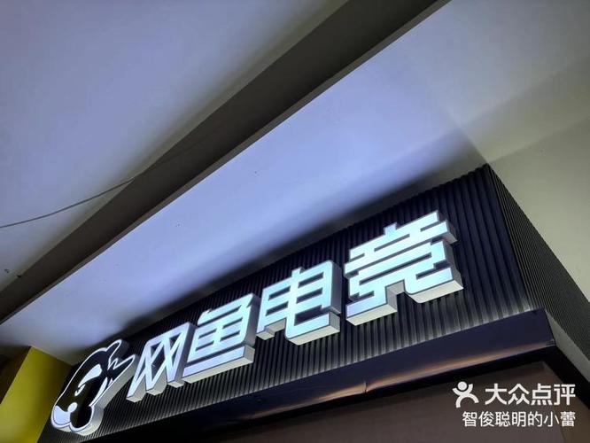 网鱼电竞卡号和密码是什么