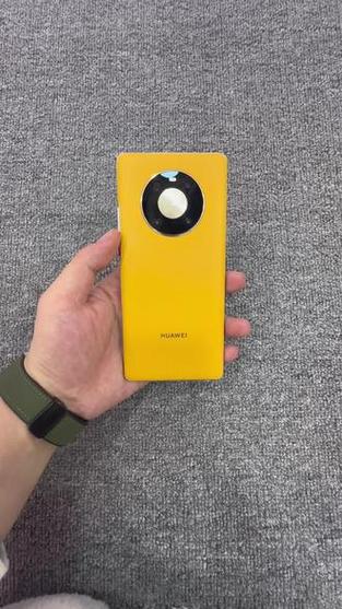夏日胡杨mate40pro图片