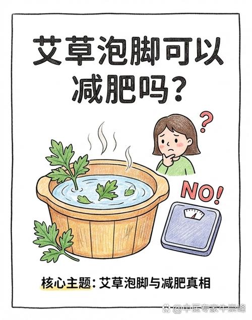 减肥能吃韩国泡菜吗游戏截图