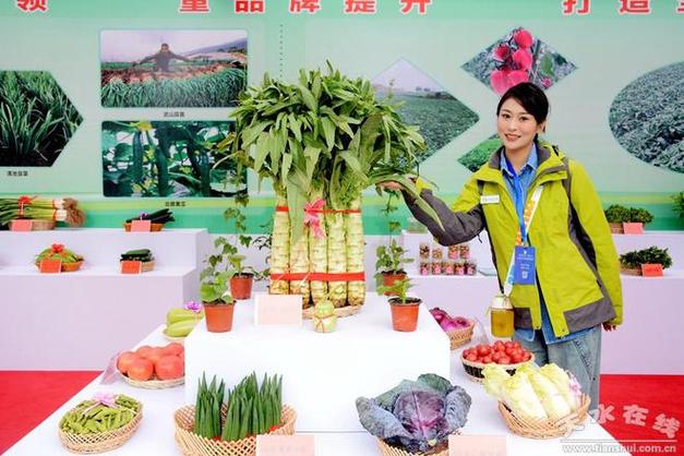 蔬菜博览会2023缩略图