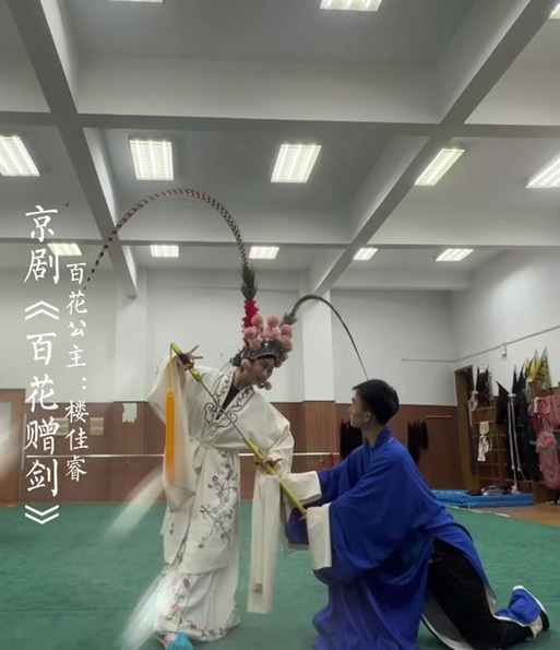 峨眉剑视频
