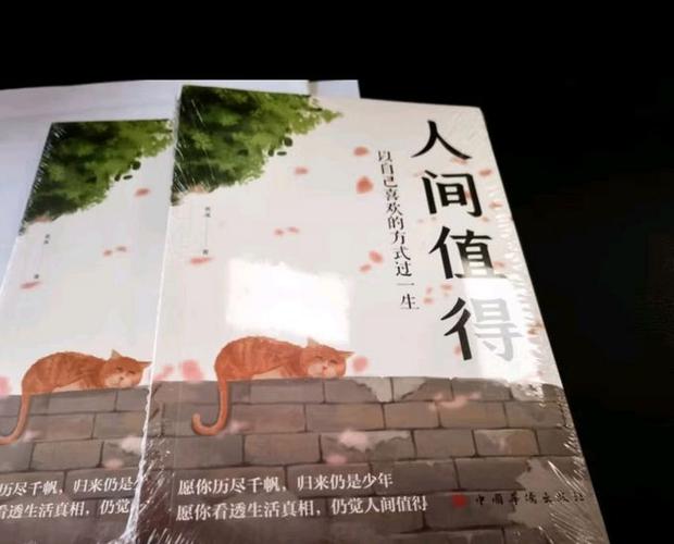 有什么正能量的书