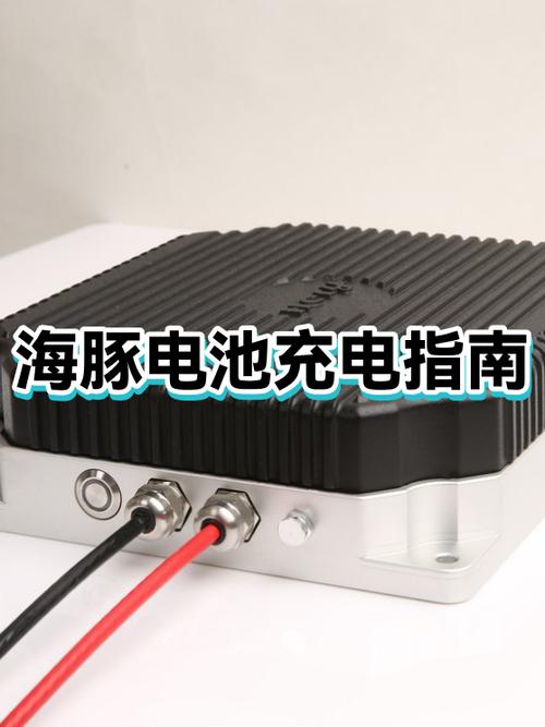 海豚充电需要充到100吗图标