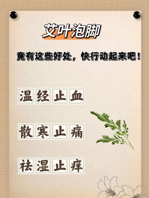 六年的艾草还能泡脚吗图标