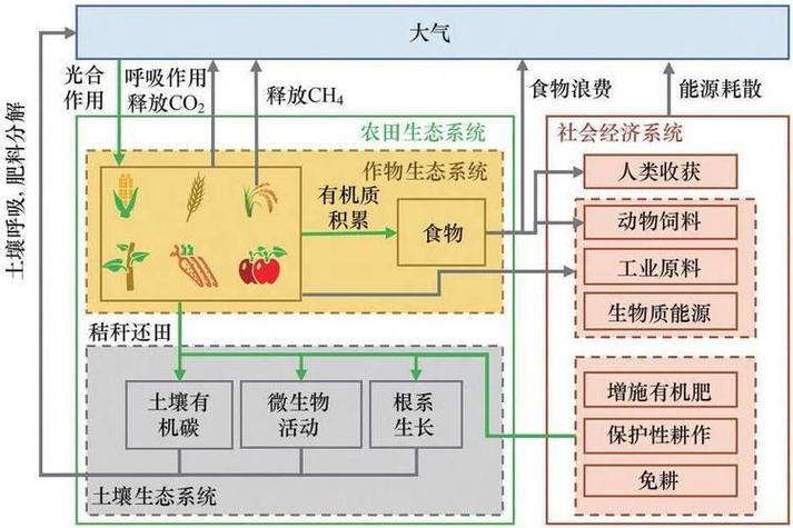 生态系统有机物的来源