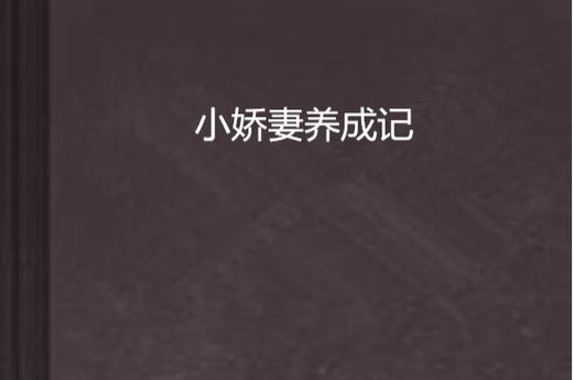 小娇妻养成记缩略图