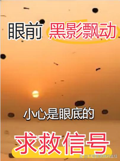 日本人眼中的乌鸦
