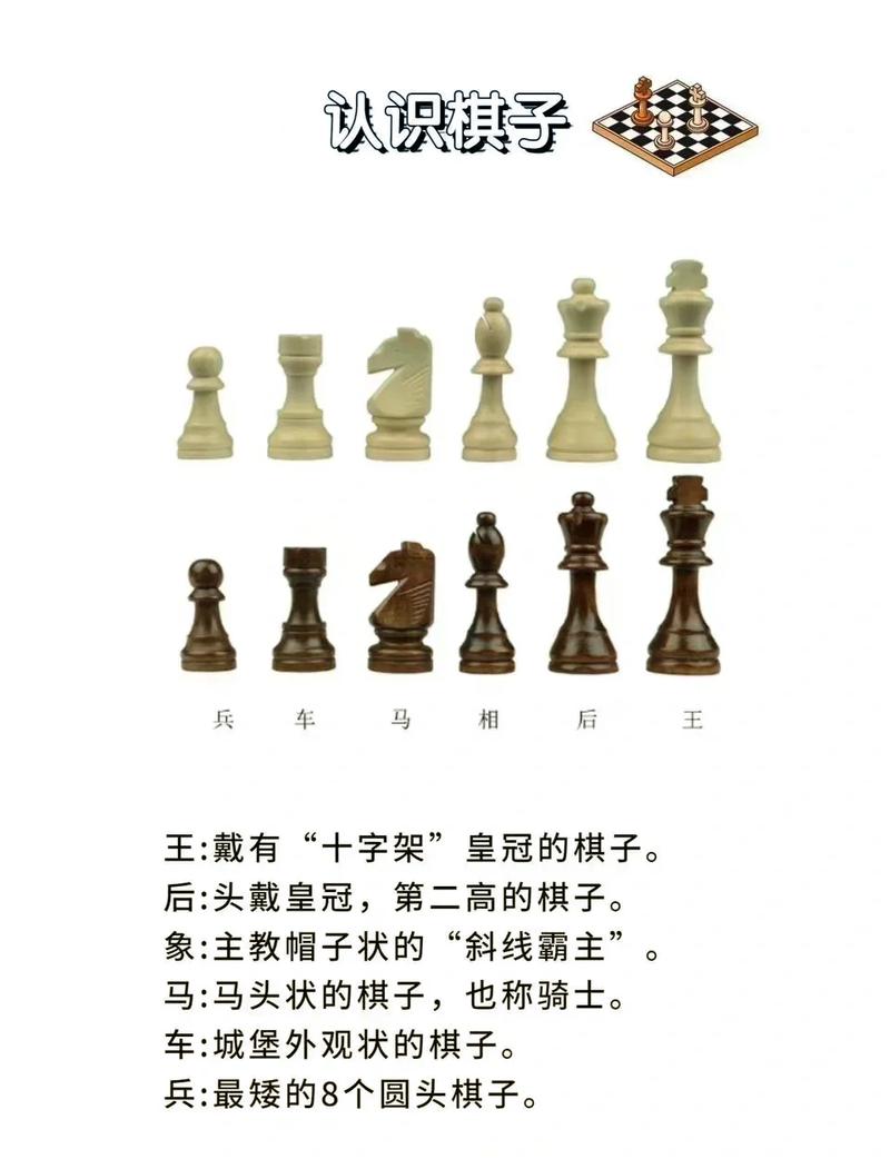 国际象棋车象能杀王吗