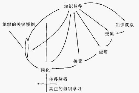 同化迁移和顺应迁移区别图标